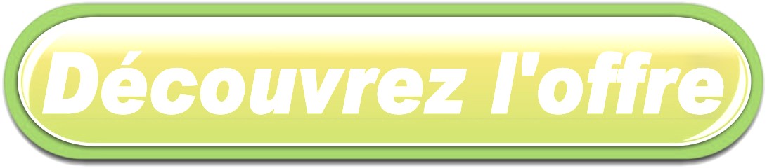BOUTON LIVRAISON FLEURS A MEZIERES-LEZ-CLERY