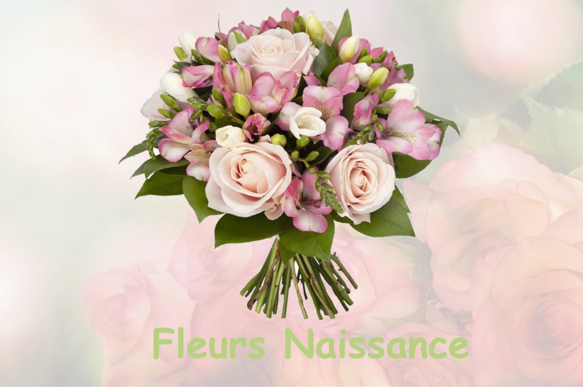 fleurs naissance MEZIERES-LEZ-CLERY