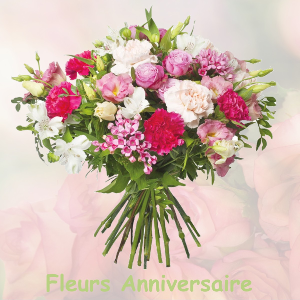 fleurs anniversaire MEZIERES-LEZ-CLERY