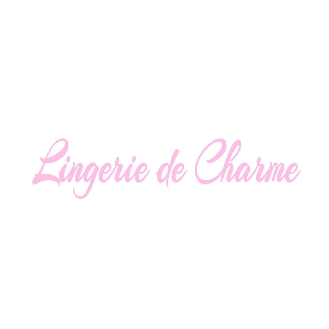 LINGERIE DE CHARME MEZIERES-LEZ-CLERY